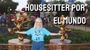 Copia de Youtube - housesitting portada