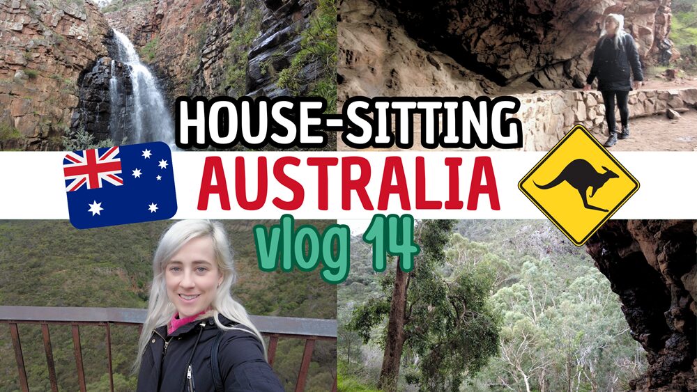 Housesitting en Australia (vlog 14)
